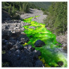 Poudre de Fluorescéine pot de 5kg - FLUOTECHNIK